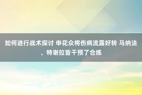 如何进行战术探讨 申花众将伤病流露好转 马纳法、特谢拉皆干预了合练