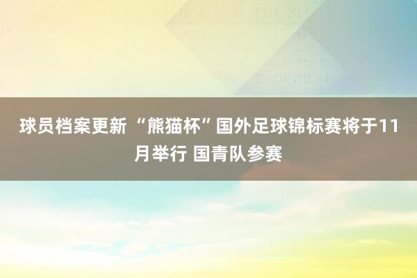 球员档案更新 “熊猫杯”国外足球锦标赛将于11月举行 国青队参赛