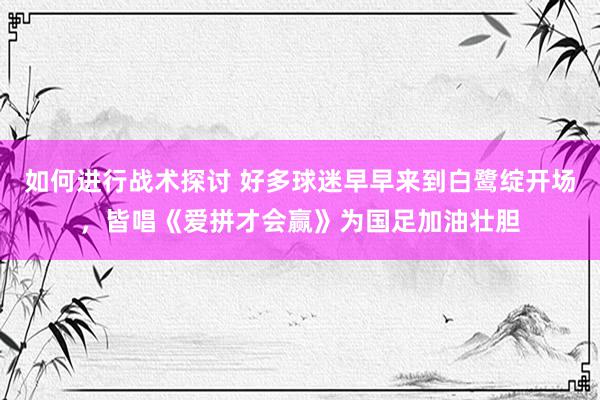 如何进行战术探讨 好多球迷早早来到白鹭绽开场，皆唱《爱拼才会赢》为国足加油壮胆