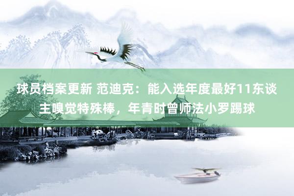 球员档案更新 范迪克：能入选年度最好11东谈主嗅觉特殊棒，年青时曾师法小罗踢球