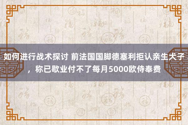 如何进行战术探讨 前法国国脚德塞利拒认亲生犬子，称已歇业付不了每月5000欧侍奉费