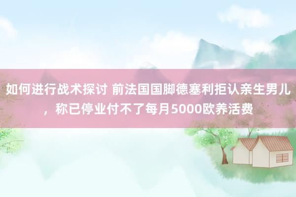 如何进行战术探讨 前法国国脚德塞利拒认亲生男儿，称已停业付不了每月5000欧养活费