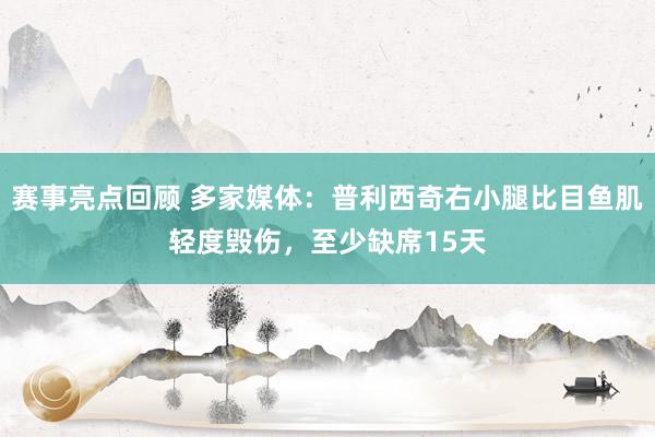 赛事亮点回顾 多家媒体：普利西奇右小腿比目鱼肌轻度毁伤，至少缺席15天