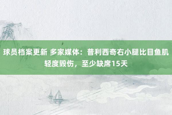 球员档案更新 多家媒体：普利西奇右小腿比目鱼肌轻度毁伤，至少缺席15天