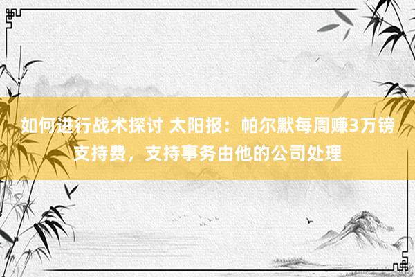 如何进行战术探讨 太阳报：帕尔默每周赚3万镑支持费，支持事务由他的公司处理