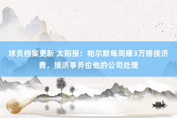 球员档案更新 太阳报：帕尔默每周赚3万镑接济费，接济事务由他的公司处理