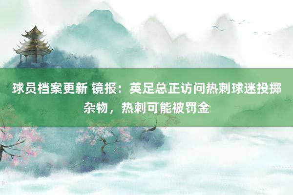 球员档案更新 镜报：英足总正访问热刺球迷投掷杂物，热刺可能被罚金