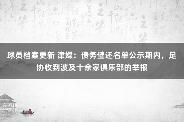 球员档案更新 津媒：债务璧还名单公示期内，足协收到波及十余家俱乐部的举报