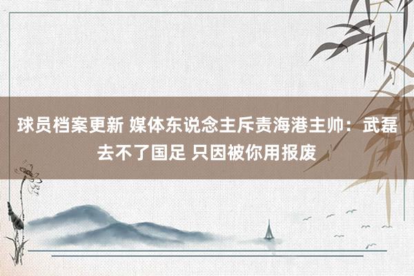 球员档案更新 媒体东说念主斥责海港主帅：武磊去不了国足 只因被你用报废